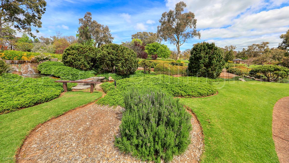 Peter Bellingham Photography Japanese Garden - Cowra